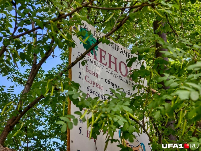 Вывеска всё еще на месте, но спряталась за деревьями | Источник: Булат Салихов / UFA1.RU
