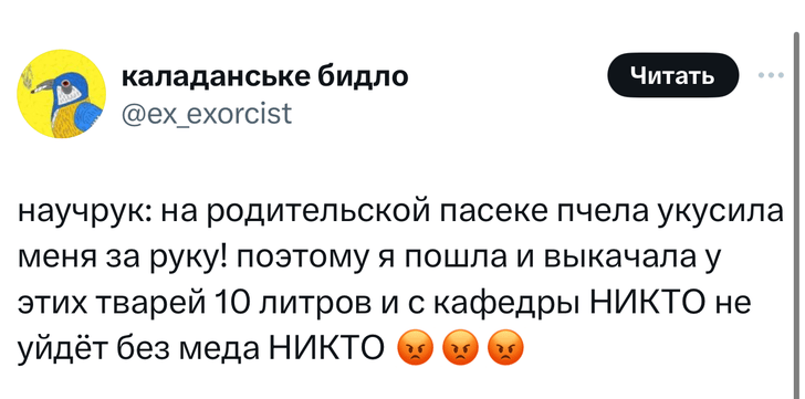 Шутки пятницы и диплом филолога, который пригодился