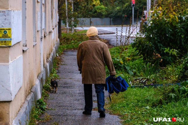 Людей со своими собачками по утрам тоже много | Источник: Булат Салихов / UFA1.RU