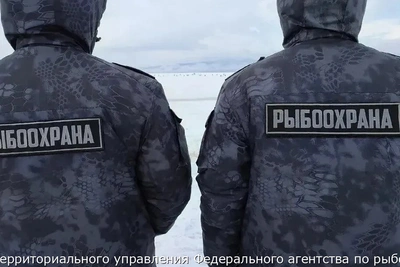 Более 170 кг рыбы изъяли у браконьеров на Камчатке