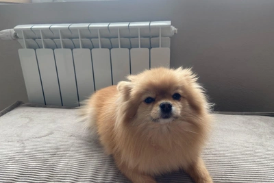 Ярославцы просят отключить отопление из-за жары в квартирах