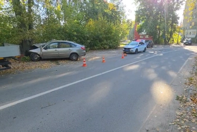 В Кстове автомобиль врезался в дерево, три человека госпитализированы