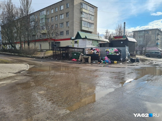Площадка переполнена несколько дней | Источник: Светлана Коновалова / YA62.RU