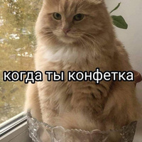 Аватарка Гуру форума