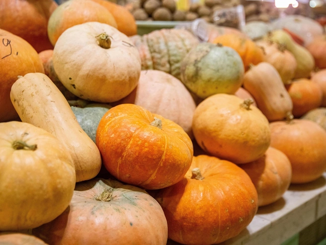 Осенний сезон богат тыквой, различные сорта которой доступны в магазинах. | Источник: Артем Устюжанин / MSK1.RU