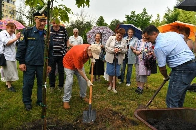 К местным властям обратились родственники ветерана и получили разрешение на посадку дерева | Источник: мэрия Ярославля