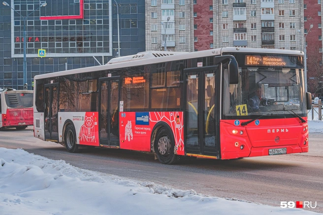 В день режима беспилотной опасности в Перми работали автобусы | Источник: Тимофей Калмаков / 59.RU