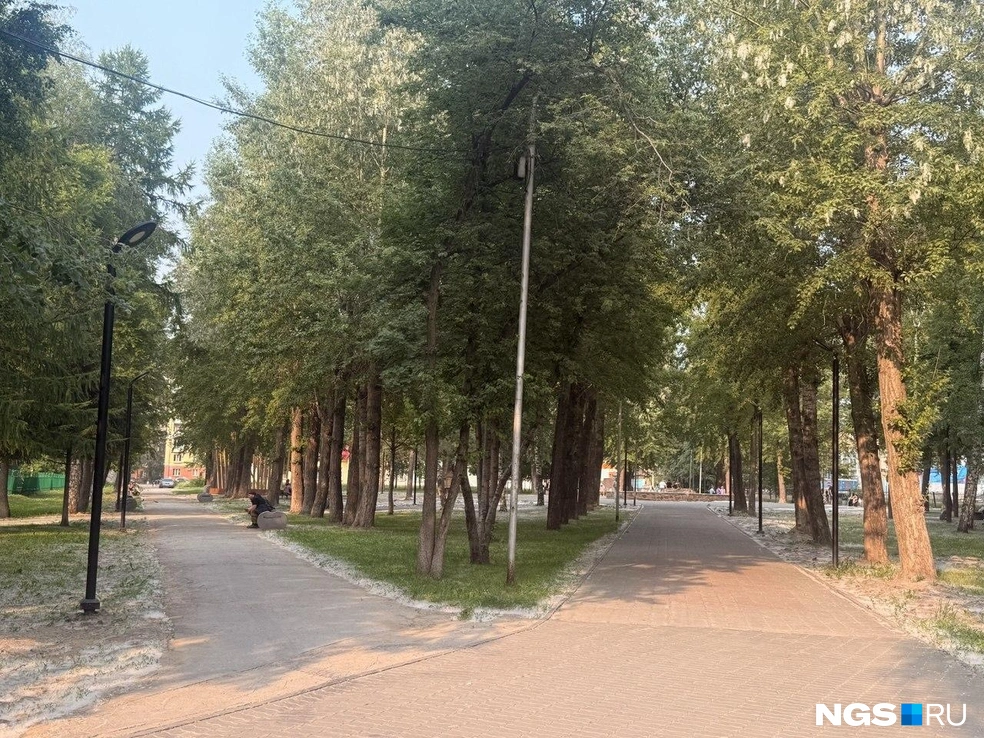 Жители жалуются на большое количество тополиного пуха в сквере | Источник: Анна Грищенко / NGS.RU