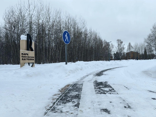 В шаговой доступности большой парк Лагунова. Что там есть, читайте в отдельном материале | Источник: Павел Красоткин / 72.RU