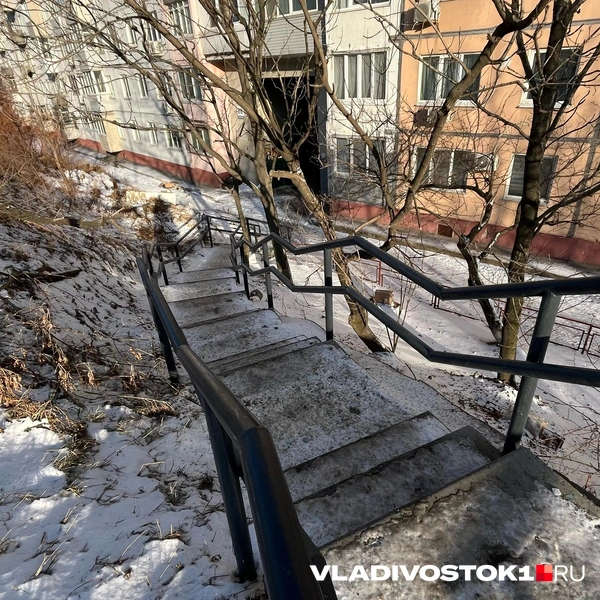 Источник: Елена Буйвол / VLADIVOSTOK1.RU
