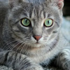 userpic__Ася