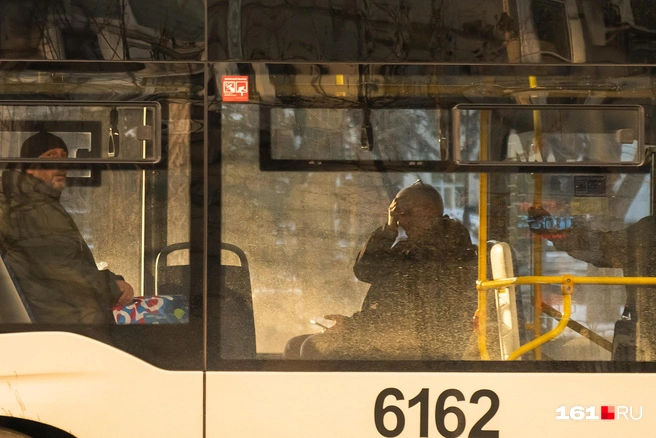 И всё же у многих людей есть неотложные дела в это время | Источник: Евгений Вдовин / 161.RU