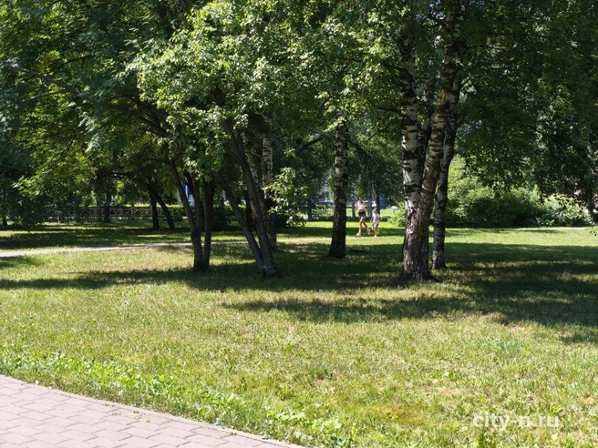 Источник: www.city-n.ru
