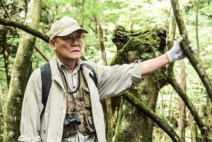 Источник: Кадр из фильма «Лес самоубийц»