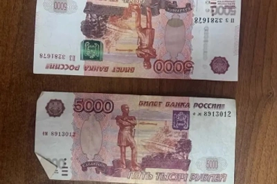 В Лев-Толстовском районе задержали подозреваемую в краже