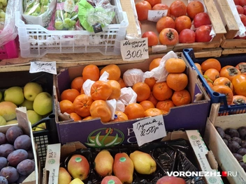 Источник: Алёна Воропаева / Voronezh1.ru