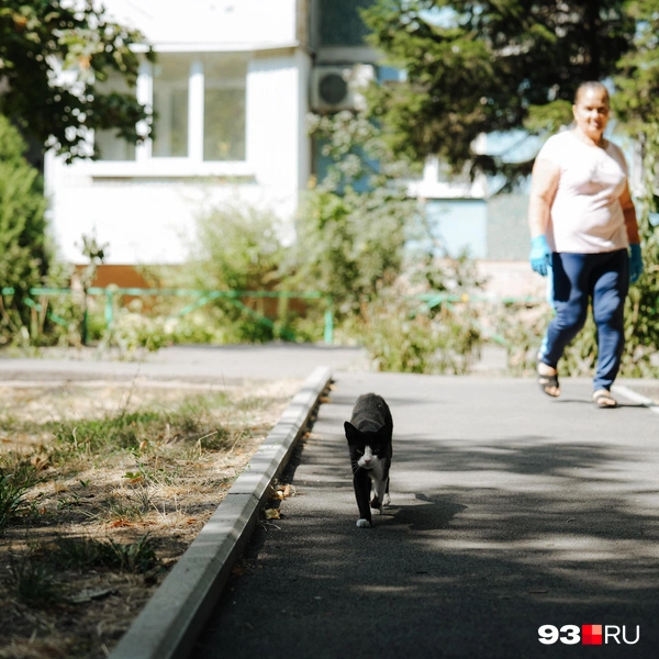 Источник: Дарья Паращенко / 93.RU
