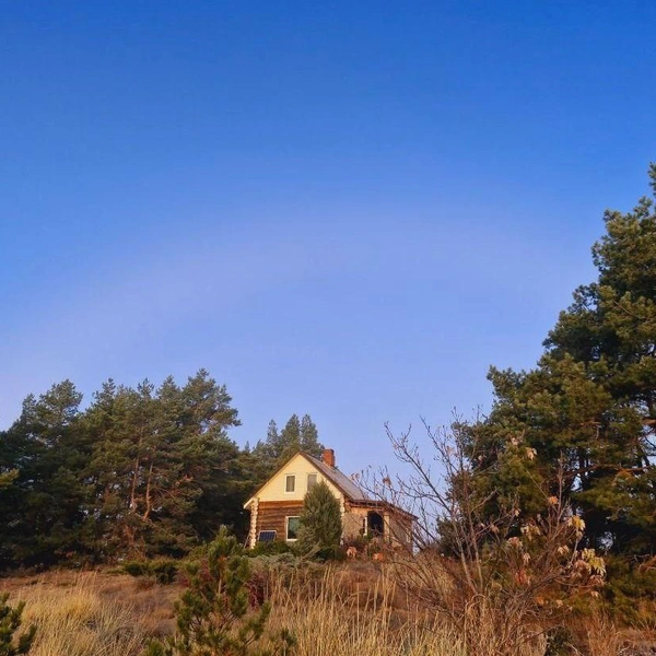 Туманная радуга | Источник: https://t.me/shkabel