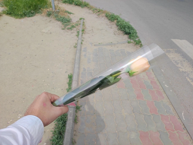 Последний звонок — традиционный повод для подарка цветов учителям, даже для бывших выпускников | Источник: Денис Паустовский / V1.RU
