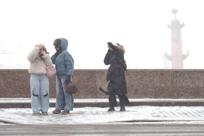 Санкт-Петербург в метели и сосульках