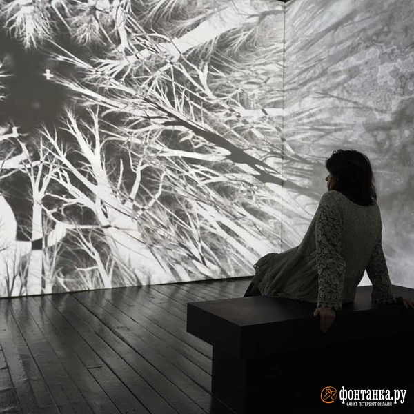 Источник: Павел Даиси / «Фонтанка.ру»