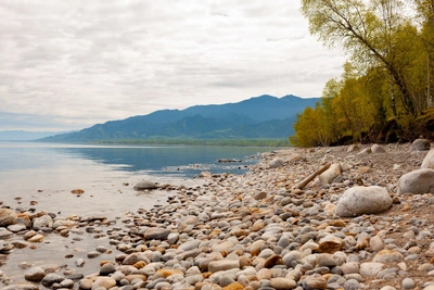 Комитет Госдумы одобрил закон о рубках леса на Байкале