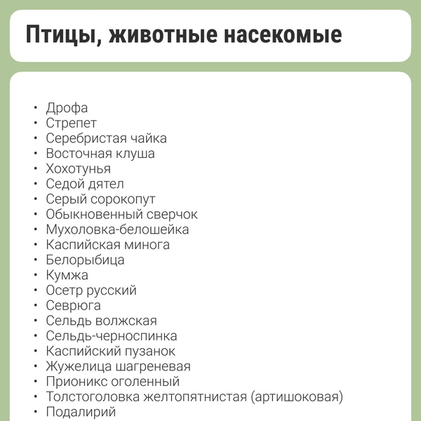 Источник: Кристина Калинина / NN.RU
