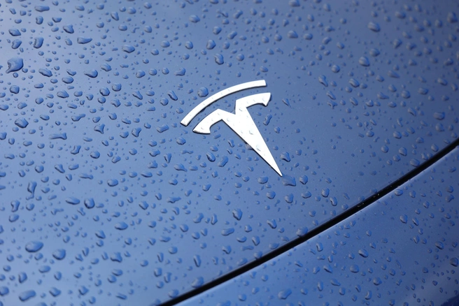 Tesla | Источник: Владислав Лоншаков / E1.RU