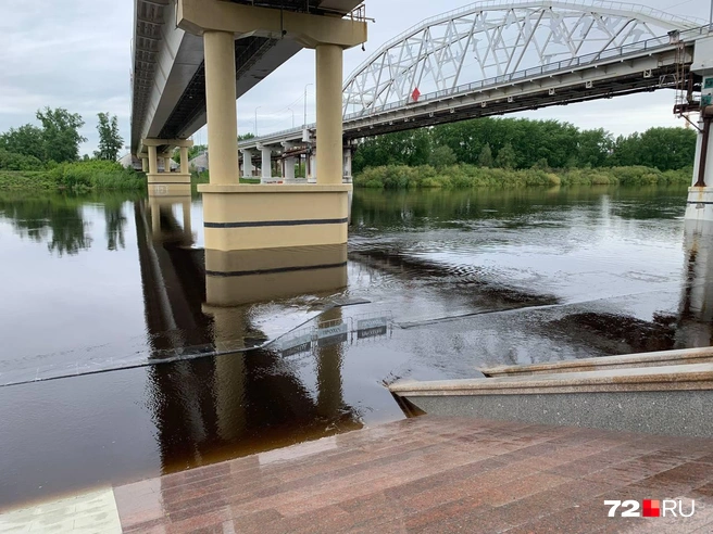 На опорах моста обычно видны отметки уровня воды — сейчас они скрыты | Источник: Никита Кифорук / 72.RU