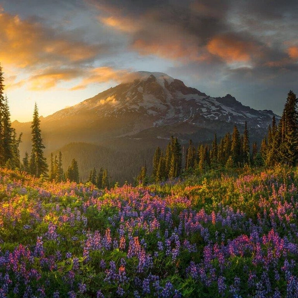 Победитель в номинации Curators Award. Штат Вашингтон, США | Источник: Chris Byrne / Epson International Pano Awards 2025