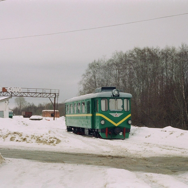 Источник: Svetlov Artem, CC0, via Wikimedia Commons