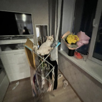 Аватарка Liya