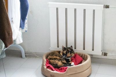 Heating cut off in dozens of Ryazan homes and institutions