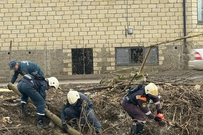 МЧС координирует ликвидацию последствий ЧС в Дагестане и Чечне