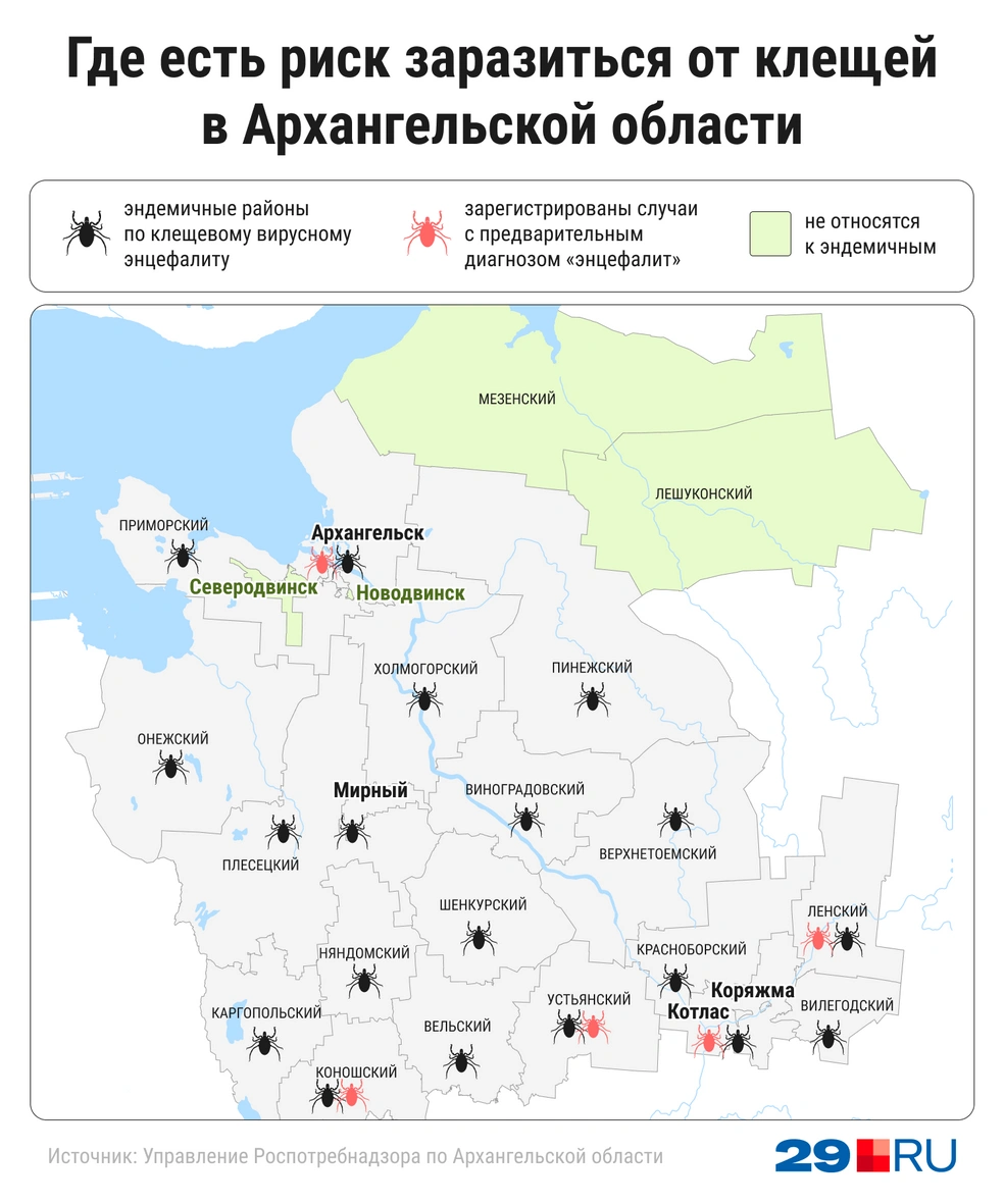 Источник: Мария Романова / Городские медиа