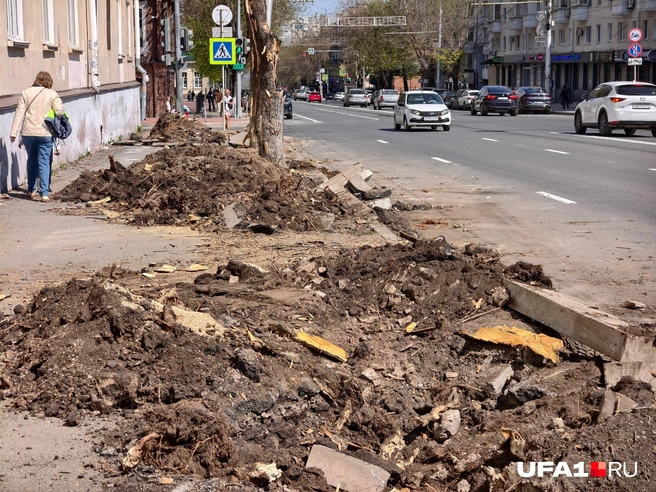 Опилки, грязь и ветки | Источник: Булат Салихов / UFA1.RU