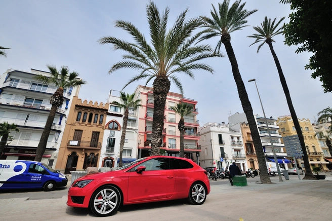 Путь к пальмам бывает тернистым | Источник: Артем Устюжанин / E1.RU