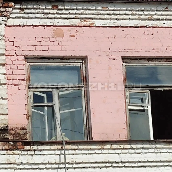 Источник: Татьяна Тельпис / Voronezh1.ru
