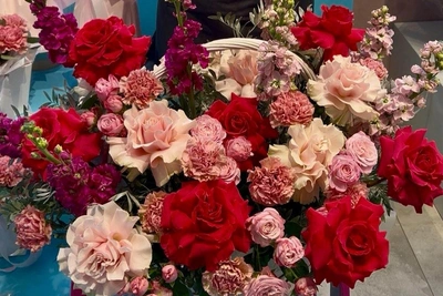 Saratov Administration to Spend Millions on Flowers