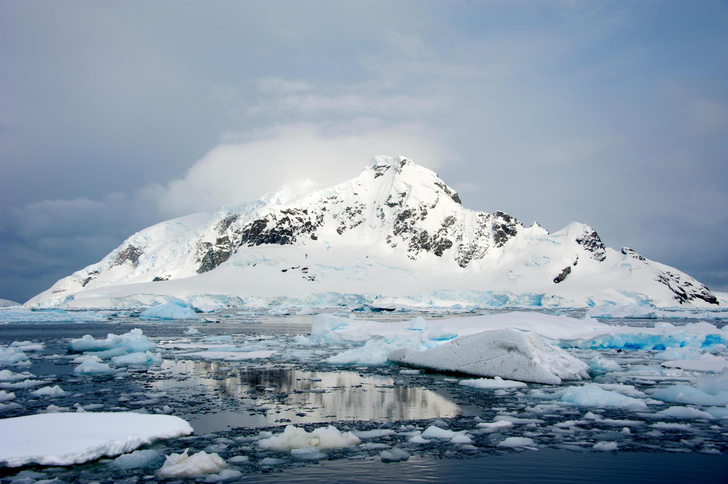 Напротив севера: краткий гид по «курортным» местам Антарктиды