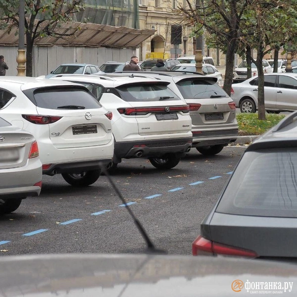 Источник: Михаил Огнев / «Фонтанка.ру»