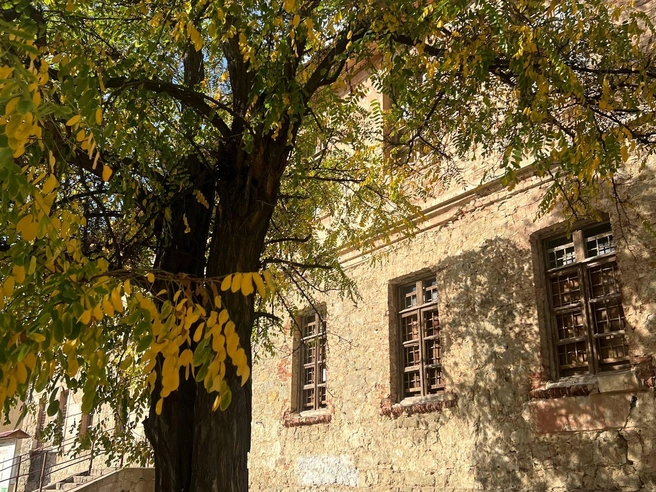 А вот так выглядит осень в Старой Сарепте | Источник: Кристиана Захаркина