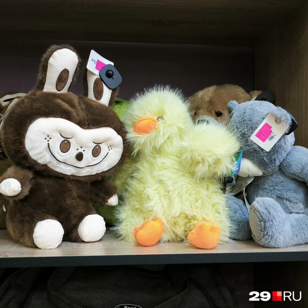 Игрушки из китайского магазина | Источник: Юрий Скородумов / 29.RU 