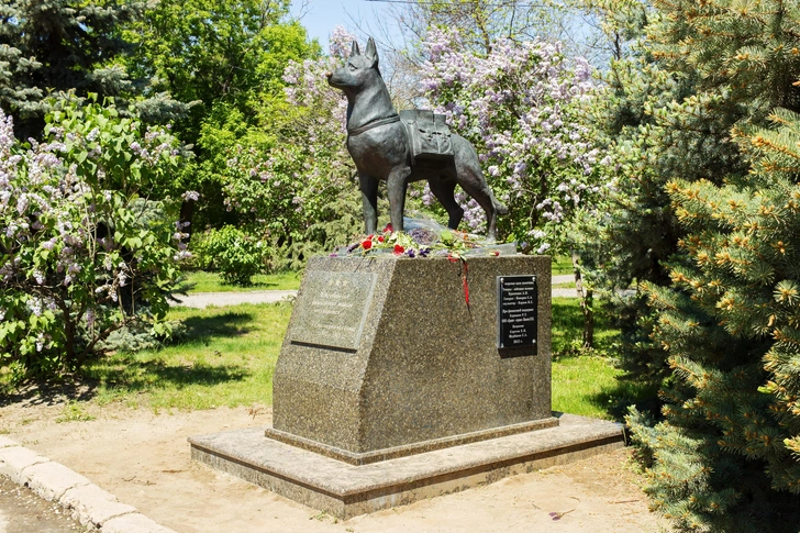 Памятник «Истребителям фашистских танков — служебным собакам-подрывникам 10-й стрелковой дивизии войск НКВД» | Источник: Shutterstock/Fotodom.ru