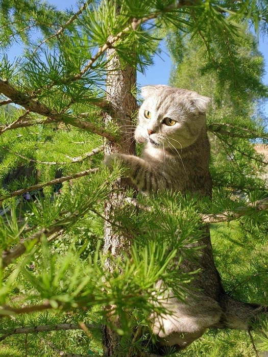 Важная птица!  | Источник: читатель 63.RU 