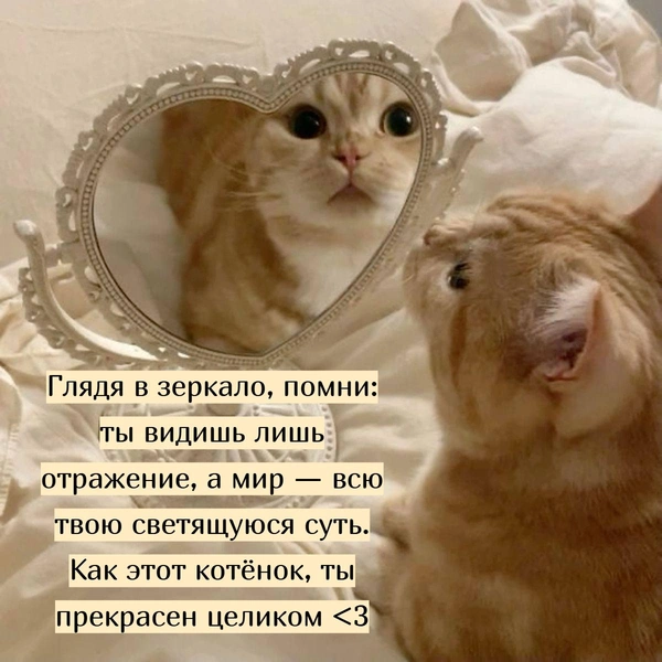 Источник: Социальные сети