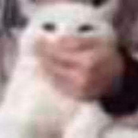 Аватарка Гость