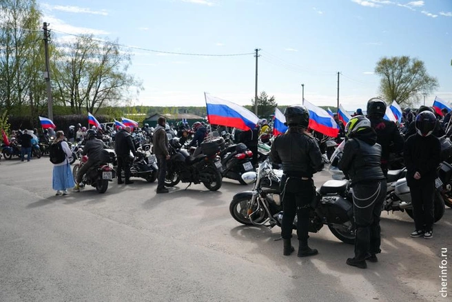 Источник: st.cherinfo.ru