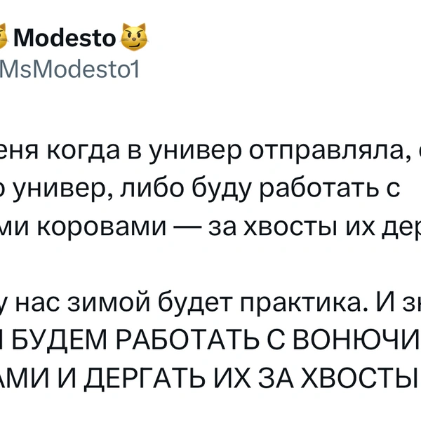 Источник: X (Twitter)