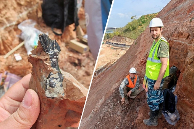 Раскопки организовали этим летом | Источник: Нижегородский музей-заповедник / Vk.com